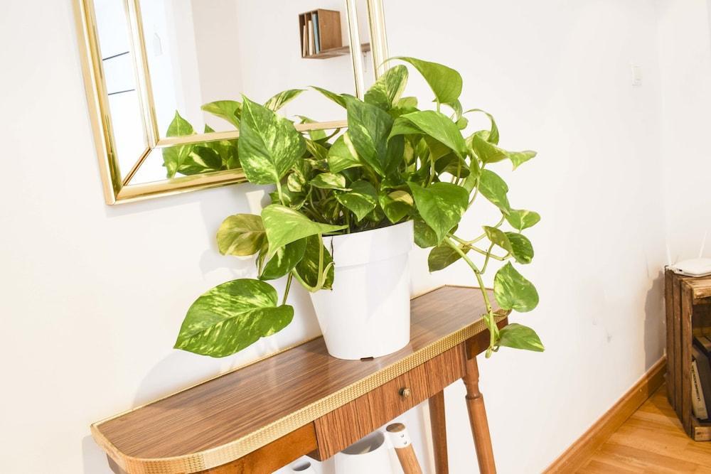 Letmalaga Carreteria Apartment Bagian luar foto